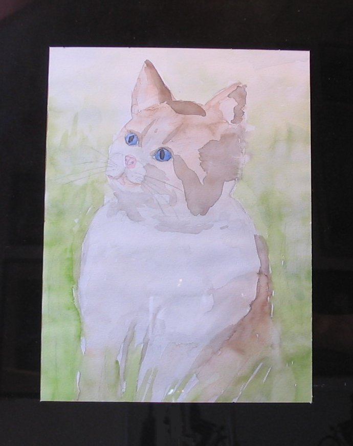 poes 003 Aquarel in lijst
